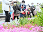 民家の庭など巡り草花を観賞しよう 21・22日、佐津オープンガーデンフェスタ