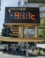 予報士とAI、目指す共存