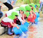 日野川「行ってこーい」 ひのっこ保育所 園児ら稚アユ放流