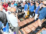 11、12月のズワイガニ但馬水揚げ 漁獲量 過去10年で最低 単価、金額も減