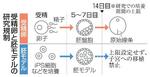 【胚モデル研究規制】培養期間の上限設けず
