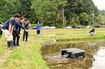 アイガモロボ出動 水田で実証実験 雑草生えにくい環境に