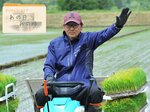 【ネットオリジナル】〈デジタルアーカイブ あの日 あの時〉鳥取県ブランド米「星空舞」誕生(2018年) 県農業試験場が30年かけて開発。ツヤがあり、冷めてもおいしい。元プロ野球、川口和久さんも〝登板〟