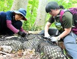 大山、夏山シーズンへ準備