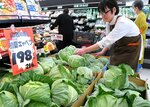 キャベツ「やっと安く」 生育順調、例年並み価格に