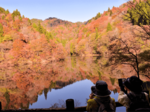 錦秋映える水鏡 智頭・芦津渓谷