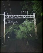 スーパーいなば、7日全12本運休 山陽線倒木影響