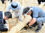 大菖蒲綱引き 準備万端 1日、湯村温泉まつり 住民や観光客、大綱作り