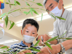 短冊に思い思いの願い事 稲葉山小で七夕飾り作り