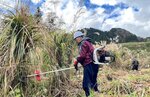 手際よくカヤ刈り取り 古代体験の森 来春、屋根修復に利用
