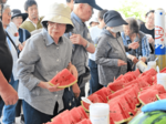 旬の味に舌鼓 北栄町で大栄西瓜まつり