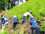 官民連携で在来種守る 植村直己冒険館周辺 オオキンケイギク駆除