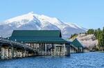 縁起良い?青森・鶴の舞橋、マイ箸に